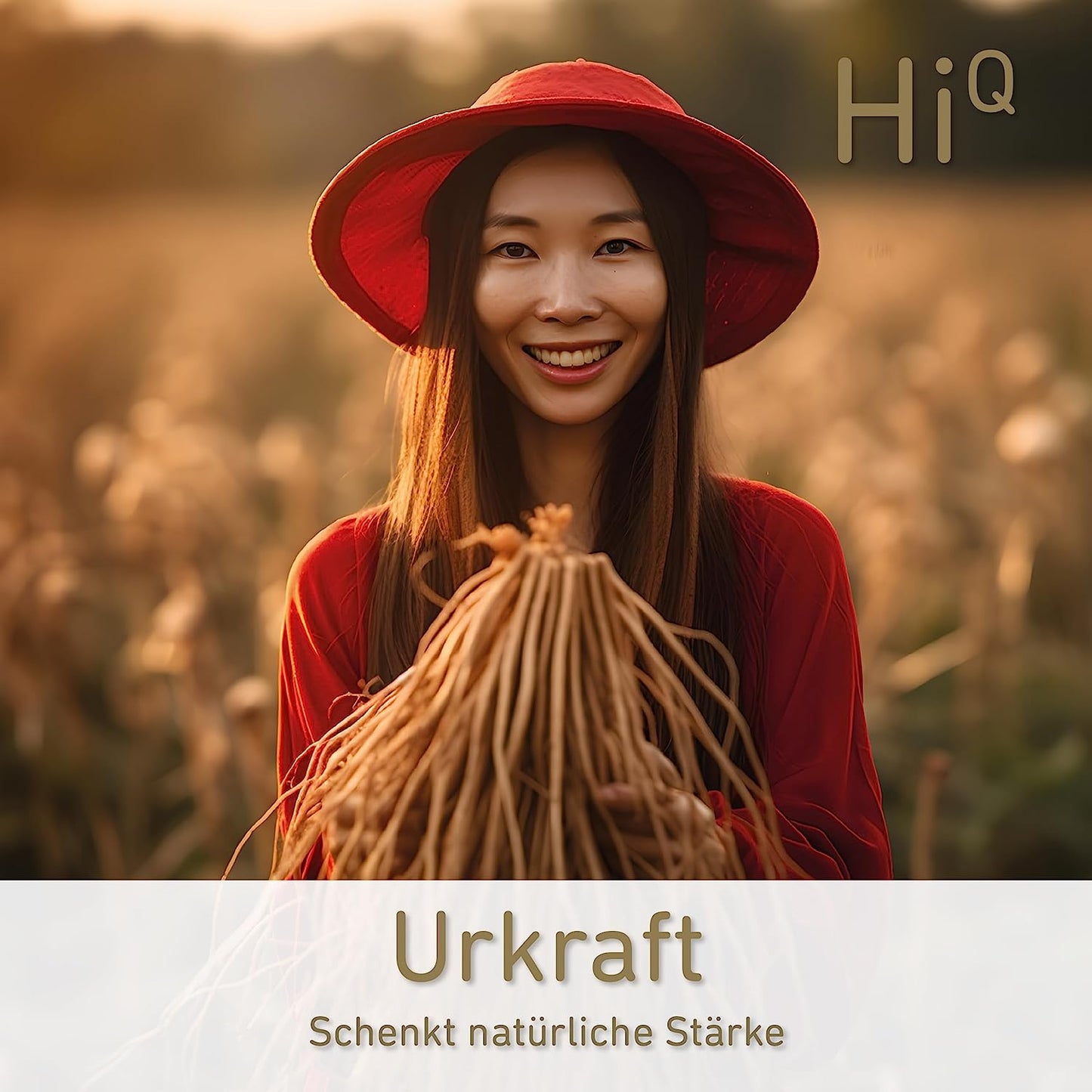 Neue Produktion: HiQ Ginseng 40 Kps - Gehirnkur für 1 Monat - jetzt sparen!