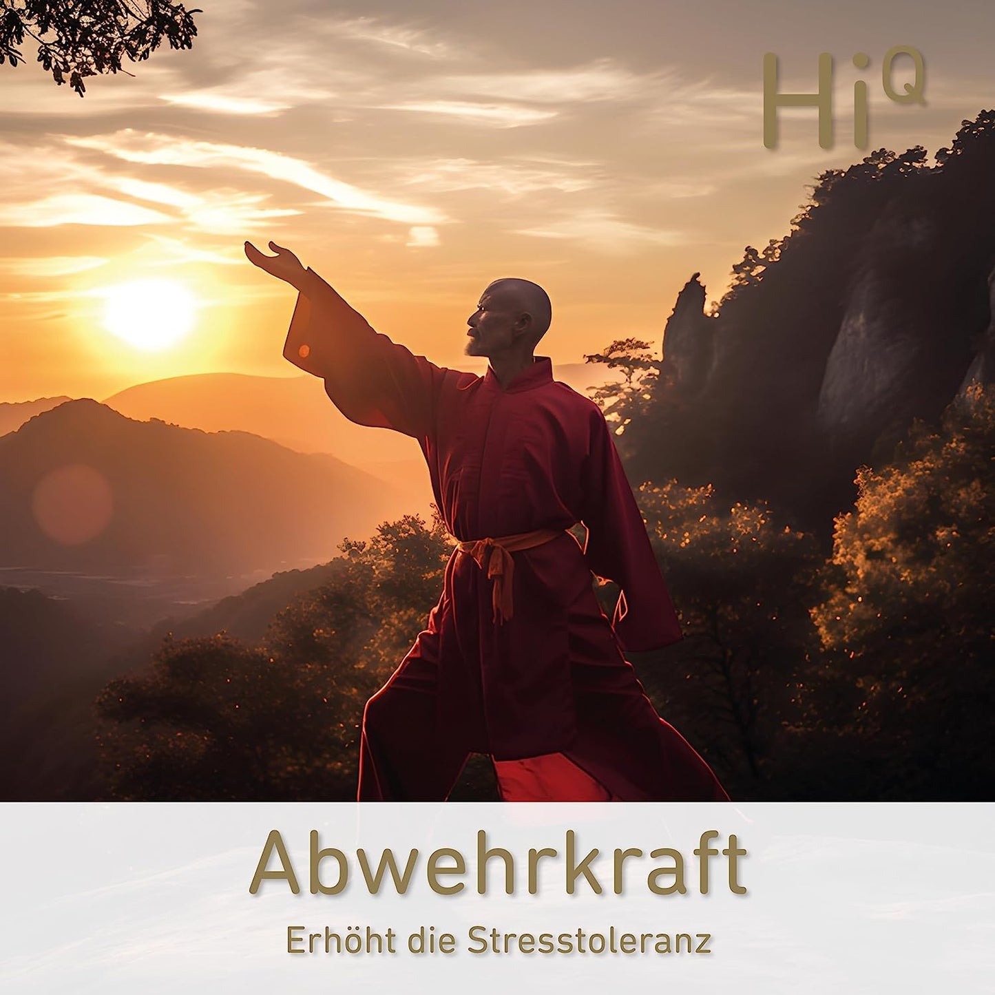 Neue Produktion: HiQ Ginseng 40 Kps - Gehirnkur für 1 Monat - jetzt sparen!