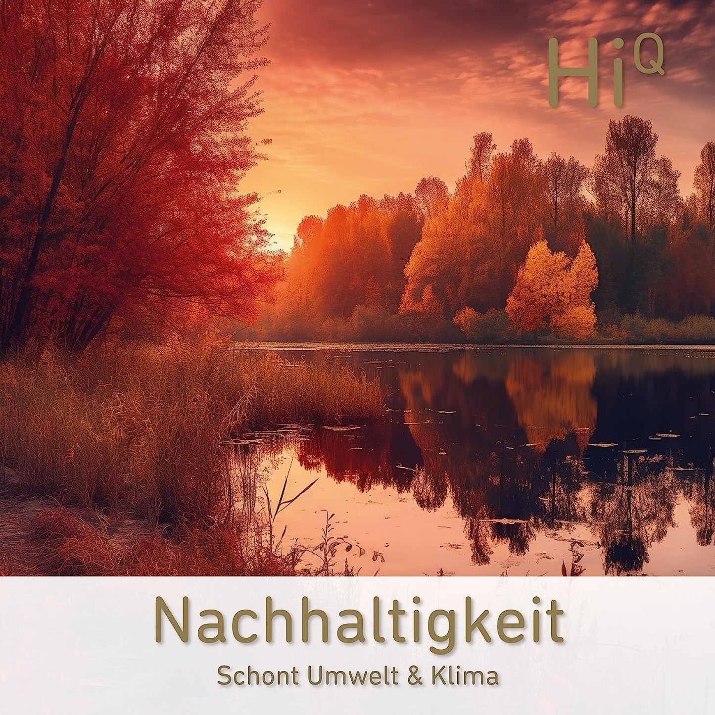 Neue Produktion: HiQ Ginseng 40 Kps - Gehirnkur für 1 Monat - jetzt sparen!